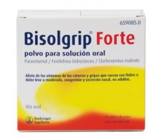 Bisolgrip Forte polvo para solución oral 10 sobres