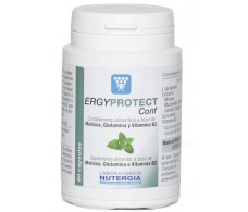 Nutergia Ergyprotect Now Conf 60 capsules