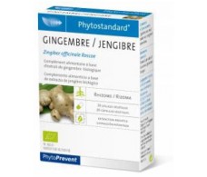 Ginger 20 cápsulas Pileje Phytostandard