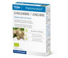 Ginger 20 Kapseln Pileje Phytostandard