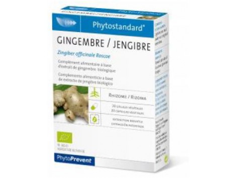 Ginger 20 cápsulas Pileje Phytostandard