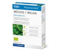 Pileje Phytostandard Melisa 20 cápsulas (espasmos intestinales)