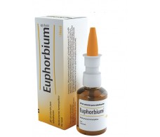 Euphorbium compositum Heel Nasenspray 20 ml