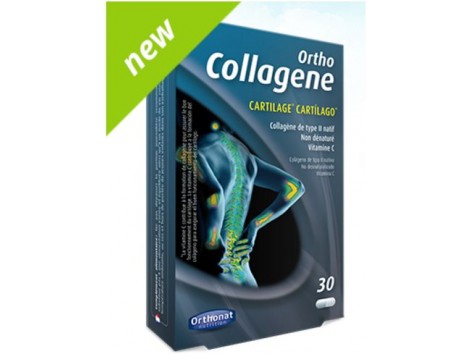 Orthonat Ortho UC-ll 30 Kapseln jetzt Ortho Collagen