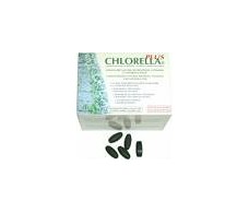 Chlorella Plus 120 comp. 1000 mg Fang's food