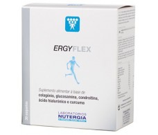 Nutergia Ergyflex 30 envelopes