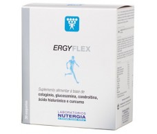 Nutergia Ergyflex 30 sobres