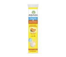 AQUILEA CALCIUM + MAGNESIUM 14 Brausetabletten