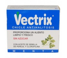 Chewing Gum ANTI-HALITOSE VECTRIX MENTA 16 Einheiten