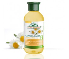 Corpore Sano  Kamille- weizen Shampoo 300ml 