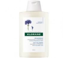 Klorane champu reflejos plateados a la centaurea 400 ml