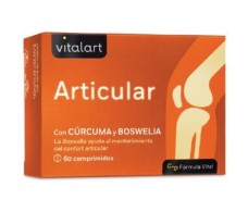 VITALART ARTICULAR 60comp.