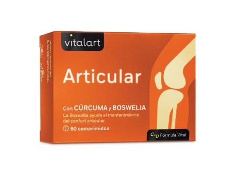 VITALART ARTICULAR 60comp.