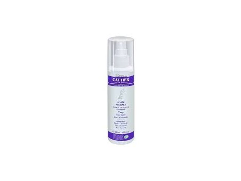 CATTIER TONICO BELEZA 200 ML