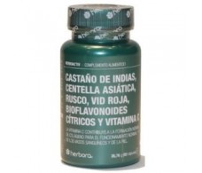 Herbora CASTAÑO-CENTELLA-RUSCUS-VID ROJA 60cap.