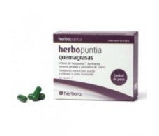 Herbora Herbopuntia quemagrasas 120 capsulas. Herbora