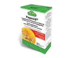 Joints Pagosid 80 tablets. Dr Dunner.