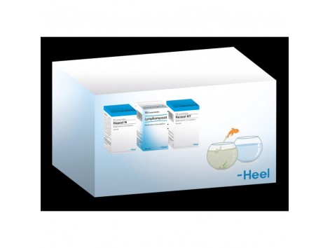HEEL THERAPY DETOX (heppel, lympho., Reneel) embalagem (50 comprimidos x3)