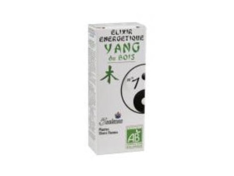 5 SAISONS Elixir nº1 yang de hígado (romero) (tónico y regenerador) 50 ml.