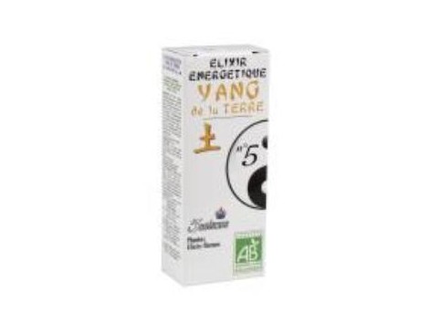 5 SAISONS Elixir nº5 yang estómago (camomila) (digestivo y tónico) 50 ml