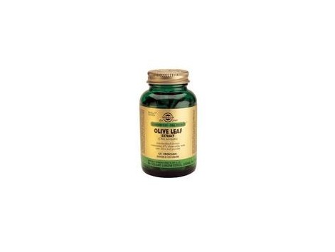 European Solgar Olive Oil leaves. 60 capsules European Solgar Olive Oil leaves. 60 capsules