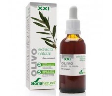 Soria Natural OLIVE EXTRACT XXI 50ml. without alcohol