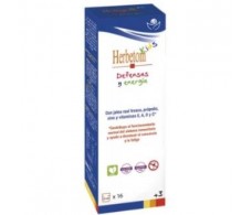 BIOSERUM HERBETOM KIDS defensas y energia 250 ml