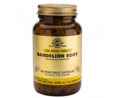 Solgar Dandelion Root 520mg. 100 capsules