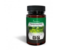 PLAMECA GINKGO BILOBA CAPSUDIET 40cap.