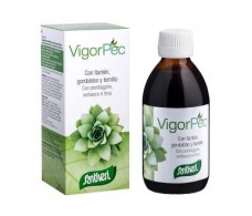 SANTIVERI  VIGOR PEC jarabe 240ml. 