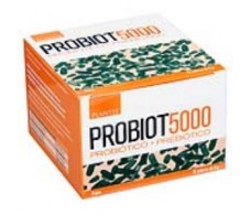PROBIOT 5000 (lactobacilli) 15sbrs. ARTESANIA