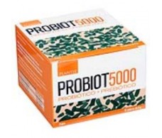 PROBIOT 5000 (lactobacilus) 15sbrs. ARTESANIA