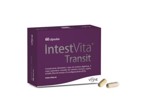 VITAE INTEST VITA TRANSIT 60cap.