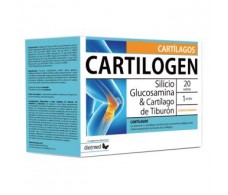 DIETMED CARTILOGEN 20 SACHETS