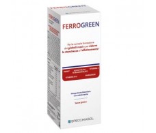 Ferrogreen 170ml. Specchiasol