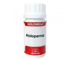 HOLOPERNA green lipped mussel 50 cap. EQUISALUD