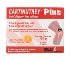 Cartinutrey. 20 sachets orange flavor