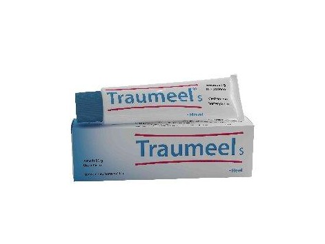 TRAUMEEL Salbe 100 HEEL