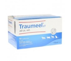  TRAUMEEL VETERINARIA 50amp. 5ml. HEEL VET