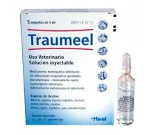  TRAUMEEL VETERINARIA 5amp. 5ml. HEEL VET