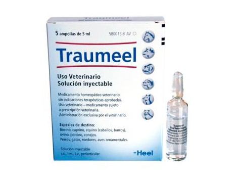  TRAUMEEL VETERINARIA 5amp. 5ml. HEEL VET