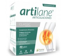 ARTILANE CLASSIC neutral flavor 30sbrs.