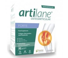 ARTILANE ФОРТЕ 30сбрс.