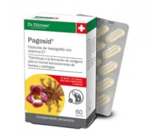 PAGOSID (harpago) 60comp. DR.DUNNER (SALUS)