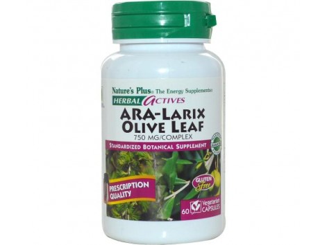 NATURES PLUS ARA-LARIX OLIVE LEAF 30comp.