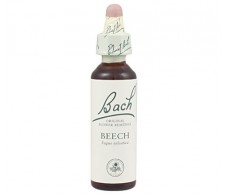 Bach Beech / Beech 20 ml