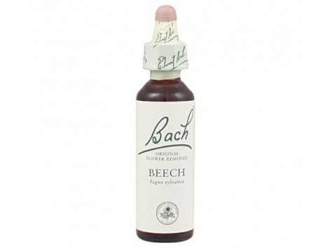 Bach Beech / Haya 20 ml
