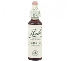 Bach Cerato / Ceratostigma 20 ml