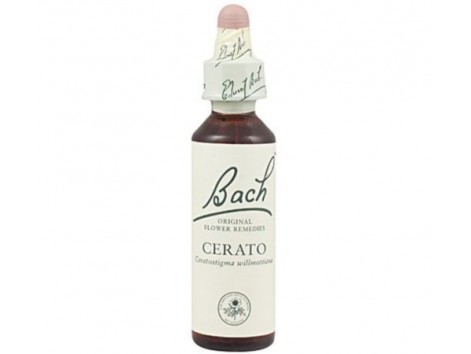 Bach Cerato / Cerato 20ml