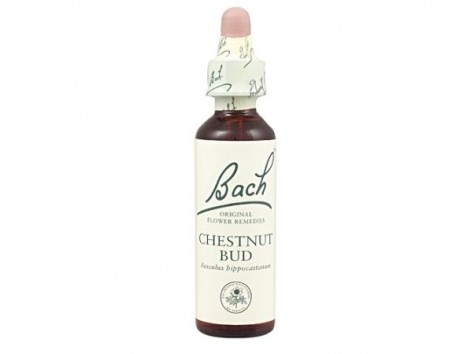 Bach Chesnut Bud / Brote de Castaño 20 ml